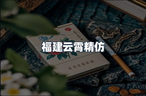 福建云霄精仿